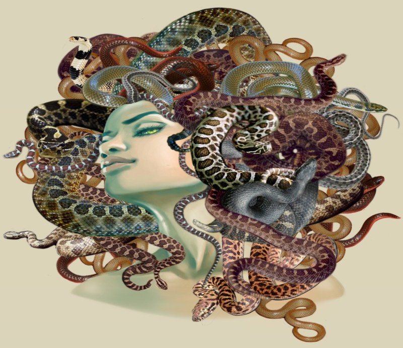 Erotic medusa gorgona with colored spotted snakes tattoo design