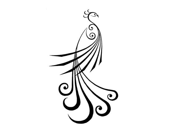 Excellent black-line peacock tattoo design