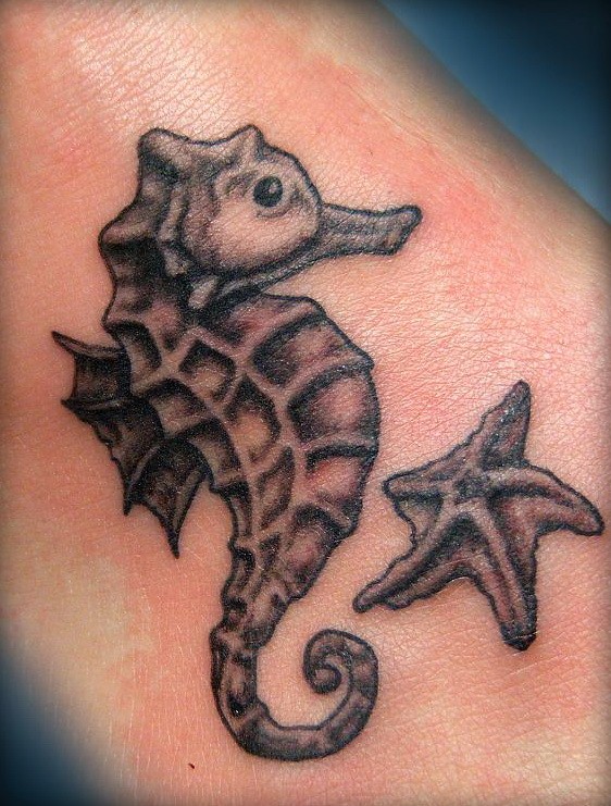Exiting black-and-white seahorse and starfish tattoo on foot