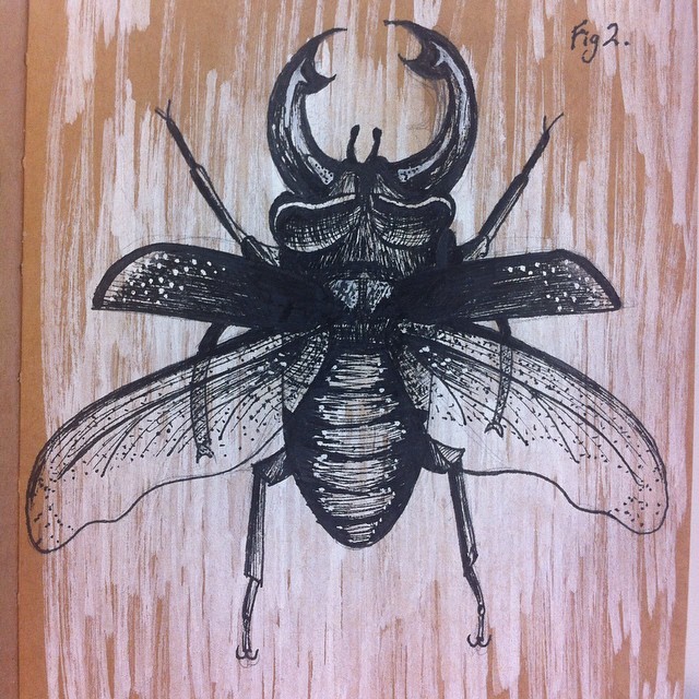 Exiting black-ink bug with thick strong horns tattoo design