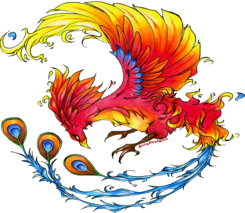 Exiting multicolor phoenix in curled pose tattoo design