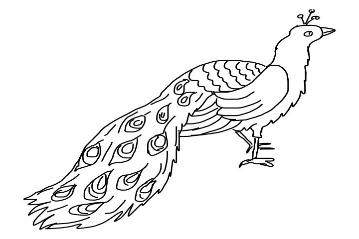 Exiting uncolored peacock tattoo design