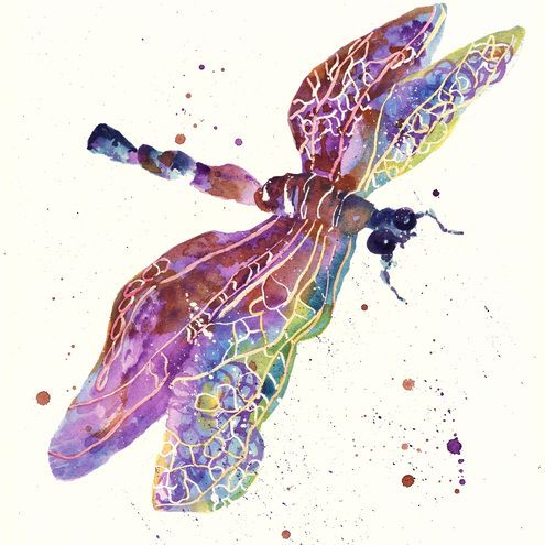 Exiting watercolor dragonfly tattoo design