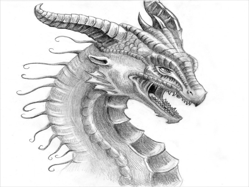 Fabulous pencilwork dragon portrait tattoo design