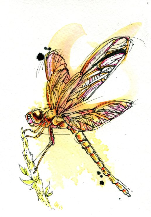 Fantastic black-contour dragonfly with yellow watercolor effect tattoo design