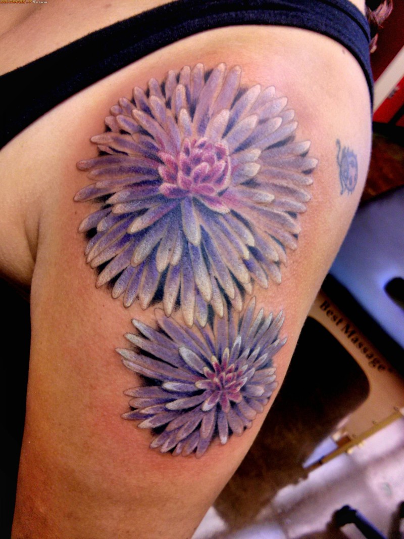 Fantastic colorful aster flowers tattoo on upper arm