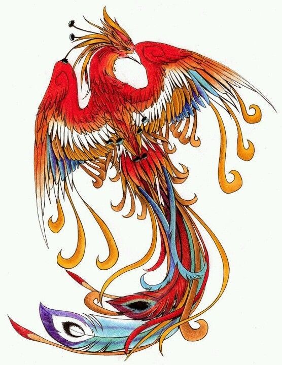 Fantastic colorful phoenix flying up tattoo design