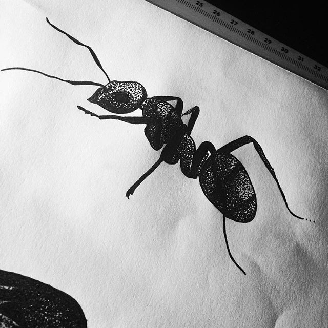 Fantastic dotwork-style ant tattoo design