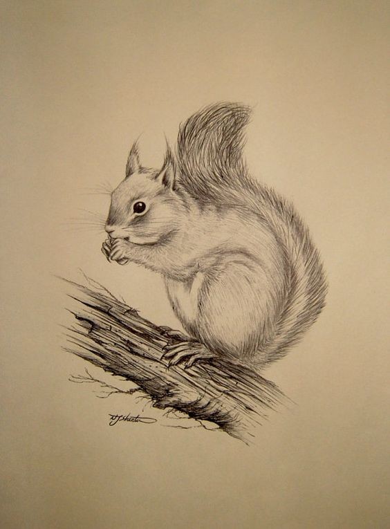 Fantastic grey-ink squirrel sitting on thick wooden branch tattoo design