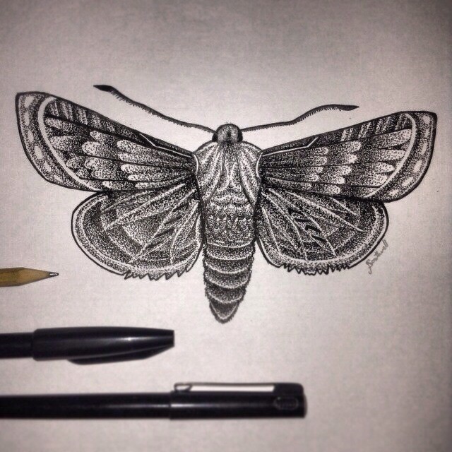 Fantastic grey moth tattoo design