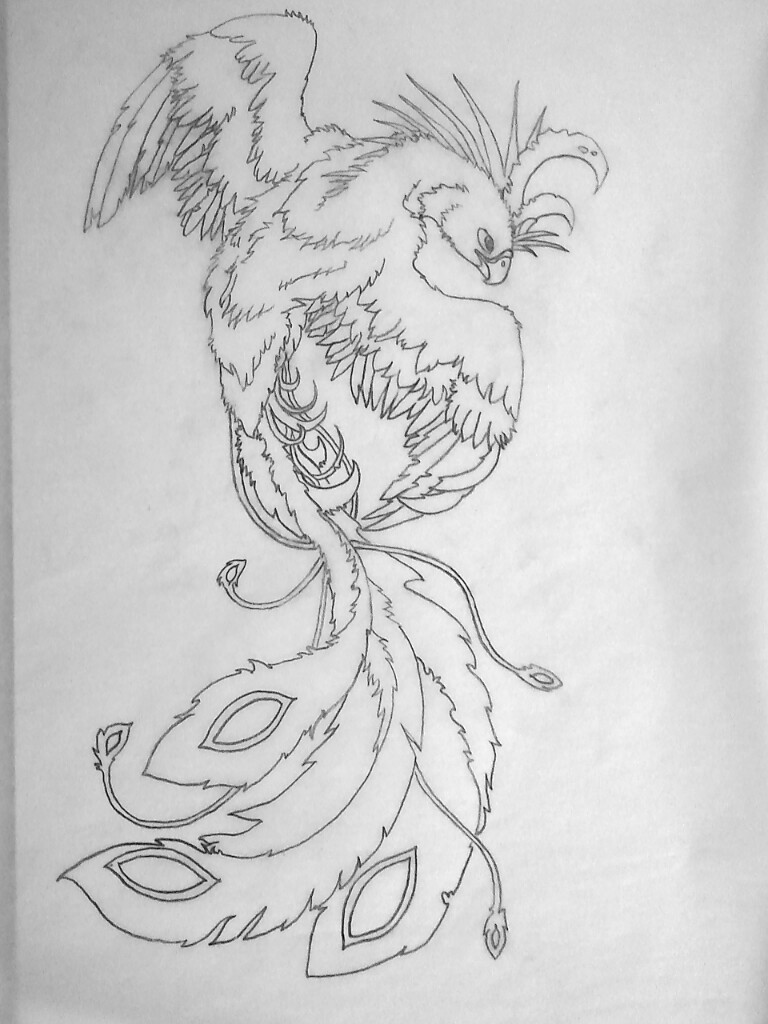 Fantastic outline phoenix tattoo design