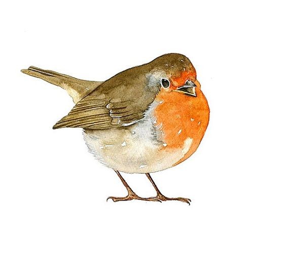 Fat ball-shaped colorful sparrow tattoo design