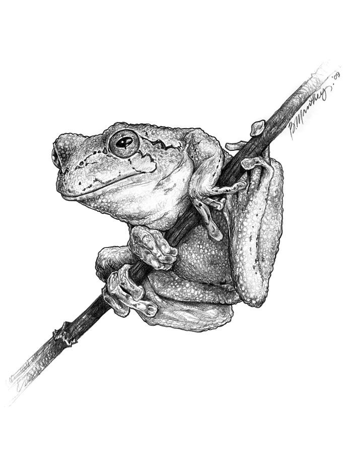 Fat black-and-white frog hanging on tree branch tattoo design