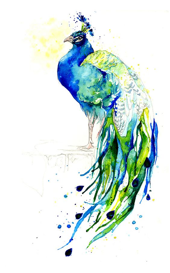 Fat colorful peacock with watercolor tail tattoo design