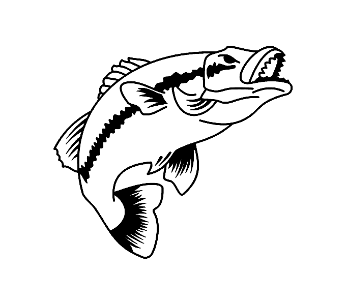 Fearful outline fish tattoo design