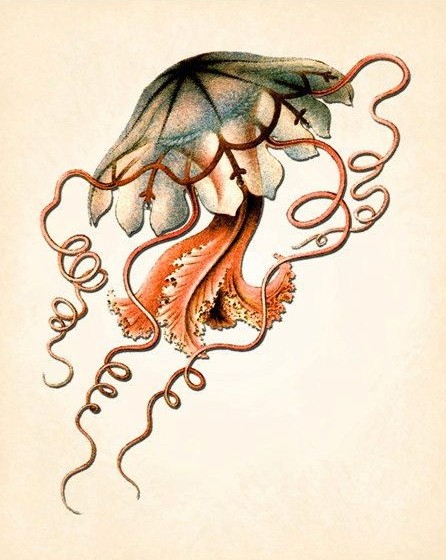 Festive colorful jellyfish with curly tentacles tattoo design