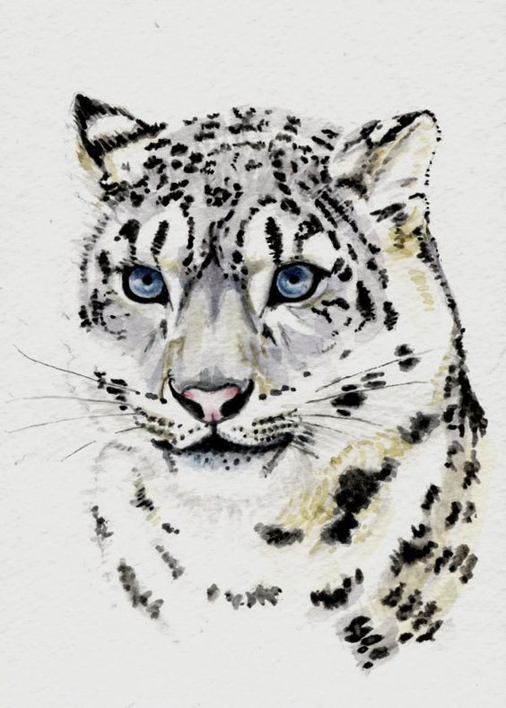 Fime blue-eyed snow leopard tattoo design