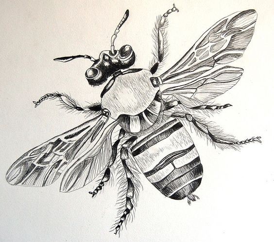 Fine black-and-white bee in full size tattoo design