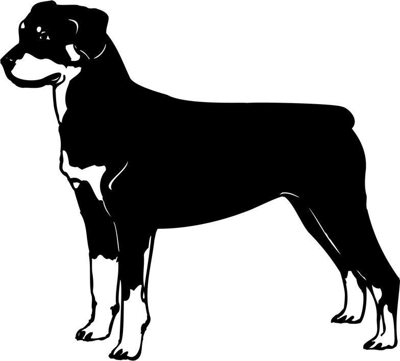 Fine black-and-white standing rottweiler tattoo design
