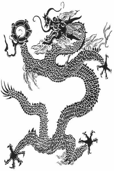 Fine black-ink lond-body dragon in chinese style tattoo design