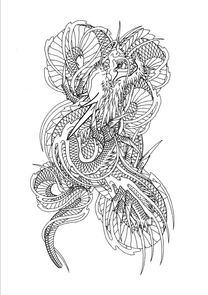 Fine colorless chinese dragon tattoo design