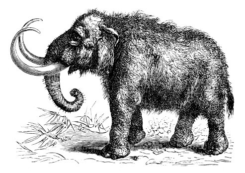 Fine fluffy grey-ink mammoth on nature view background tattoo design