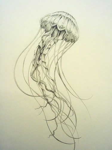 Fine grey-ink swimming jellyfish tattoo design