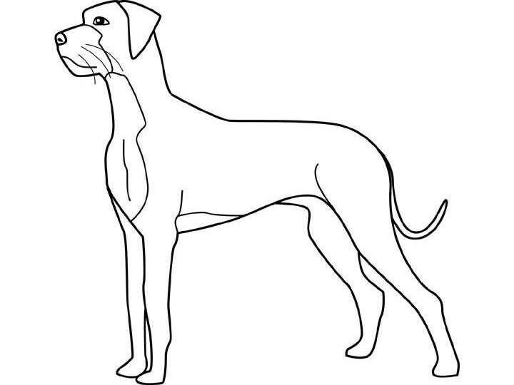 Fine outline dog tattoo design