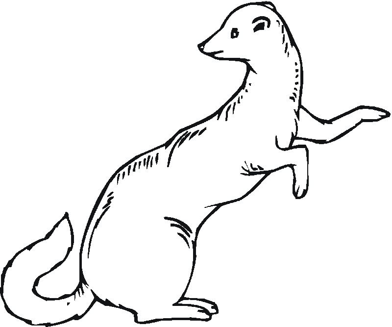 Fine outline rodent silhouette tattoo design