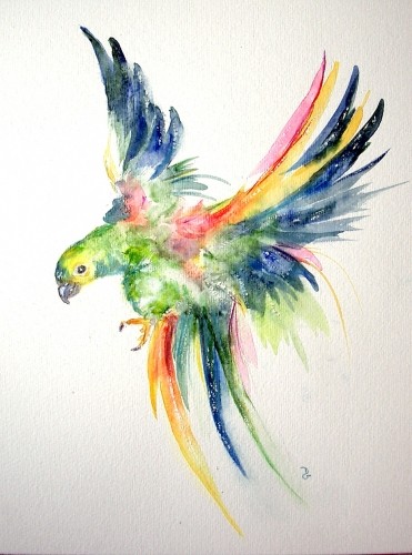 Fine rainow watercolor flying parrot tattoo design