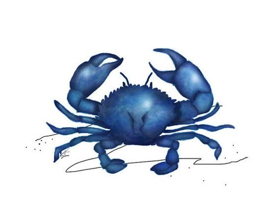 Fine single blue crab tattoo design