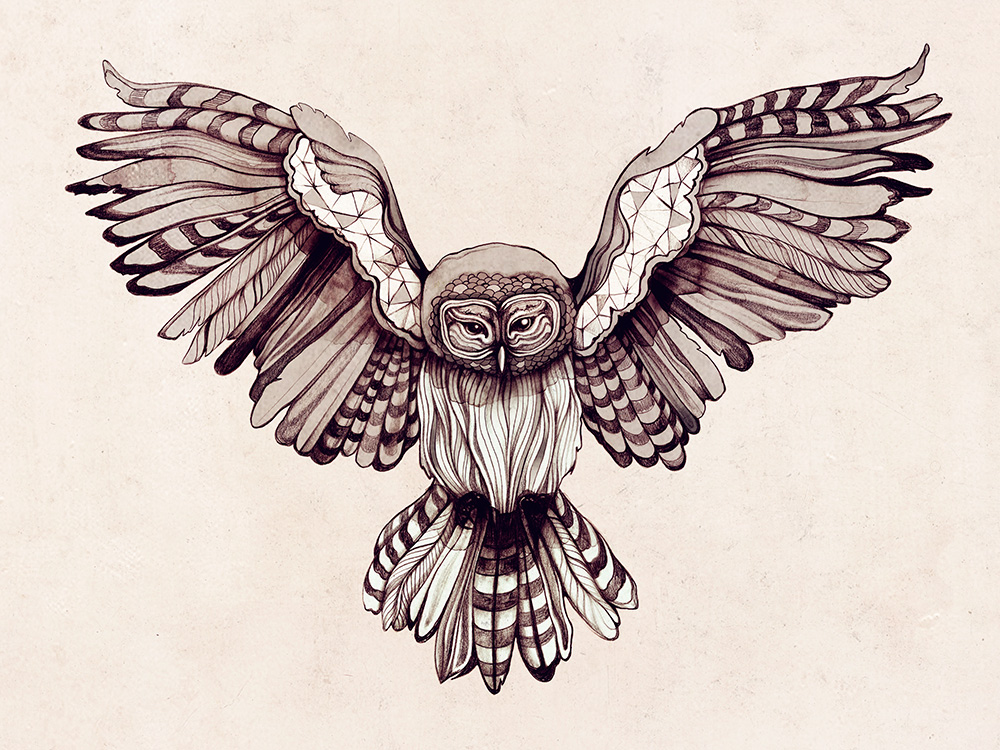 Flying owl with different feathers tattoo design