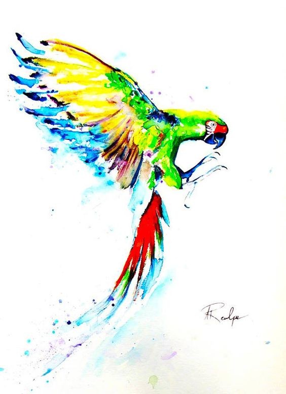 Flying watercolor parrot wanting to catch something tattoo design