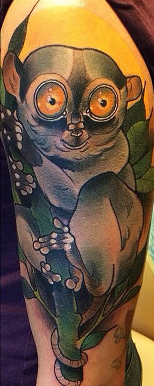 Frightened colorful lemur on tree branch tattoo on upper arm