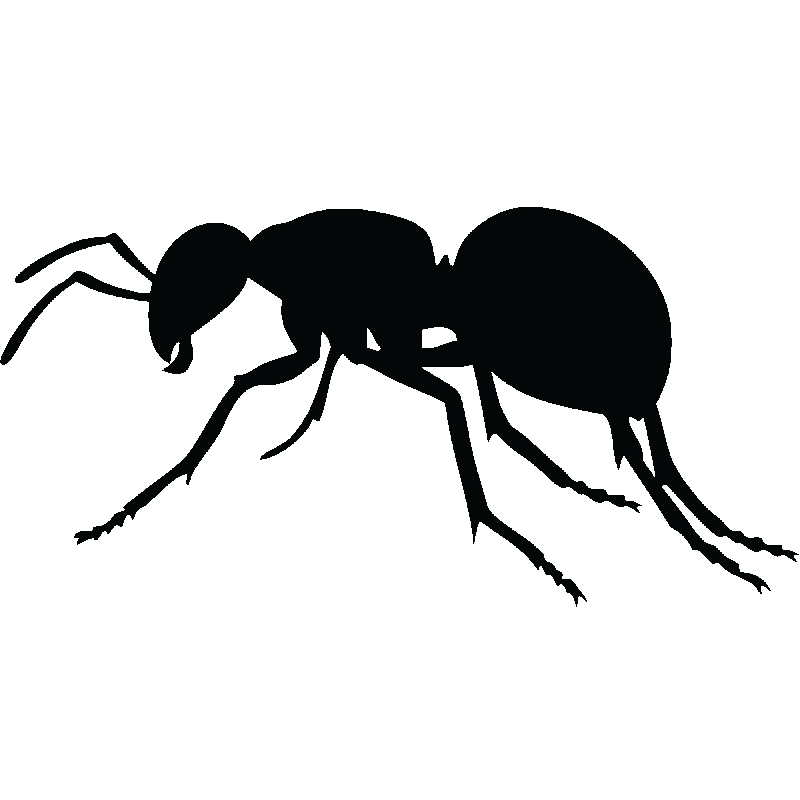 Full-black crawling ant tattoo design