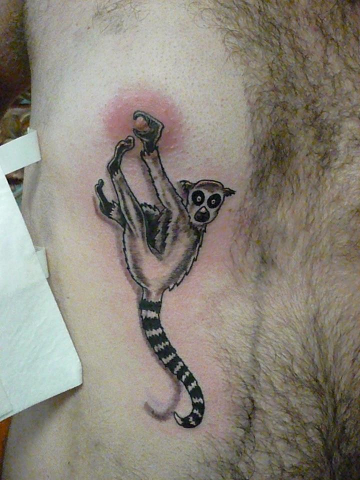 Funny black-and-white lemur tattoo on chest
