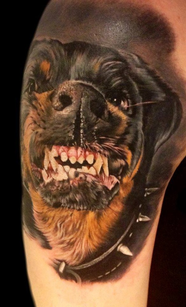 Furious color-ink rottweiler in thorned dog-collar tattoo on arm