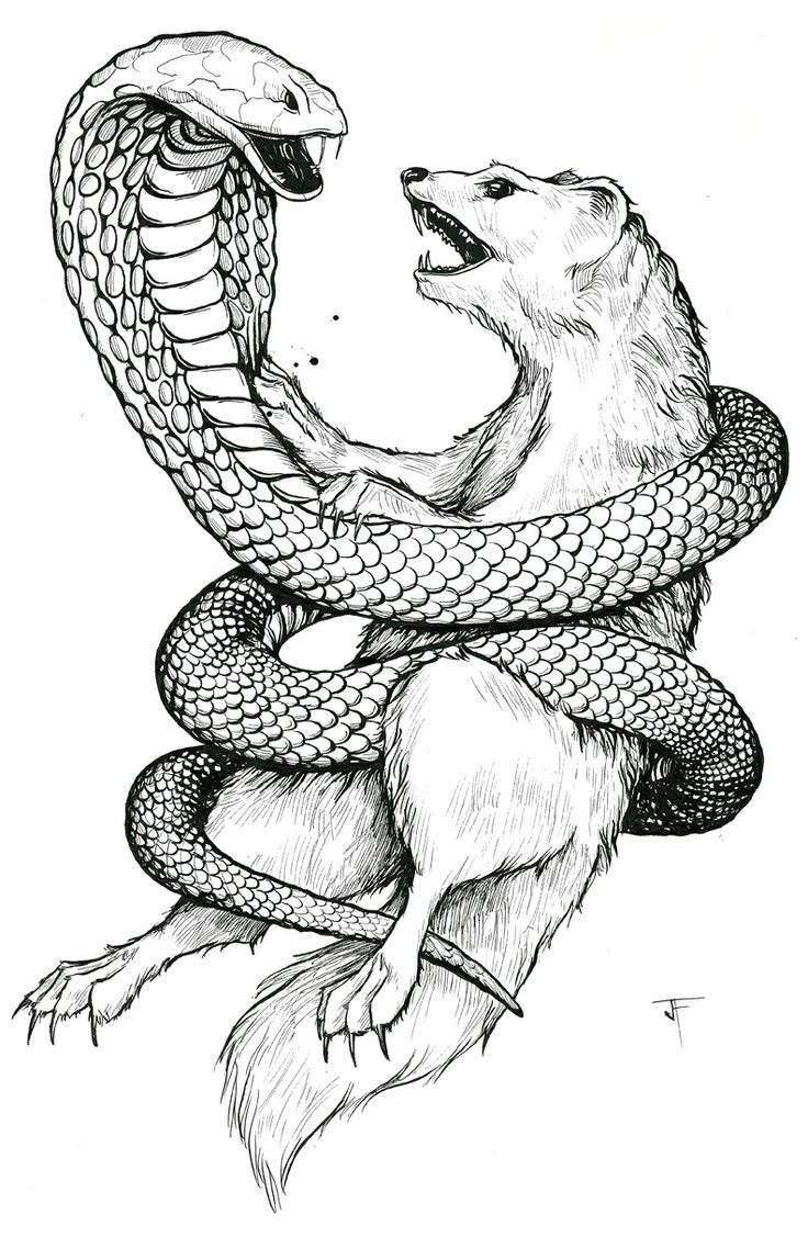 Gigant cobra snake keeping white fighting wolf tattoo design