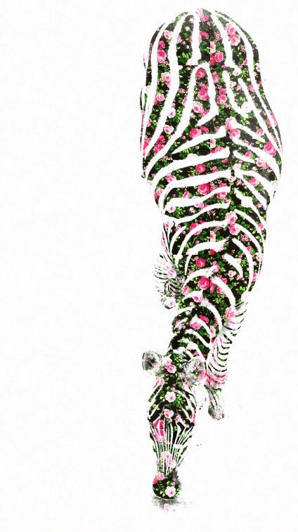 Girly fogging zebra with pink floral stripes tattoo design