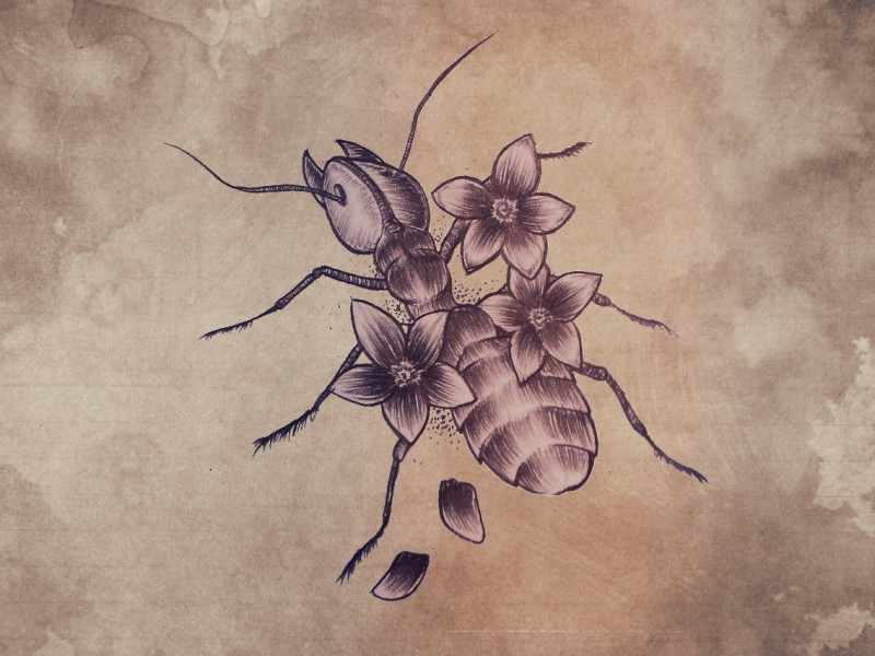 Girly grey ant with flowers tattoo design by Necronom Iv