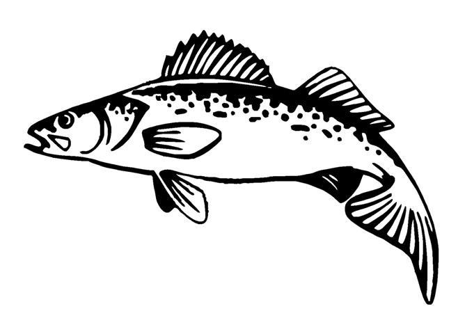 Good black-line fish tattoo design