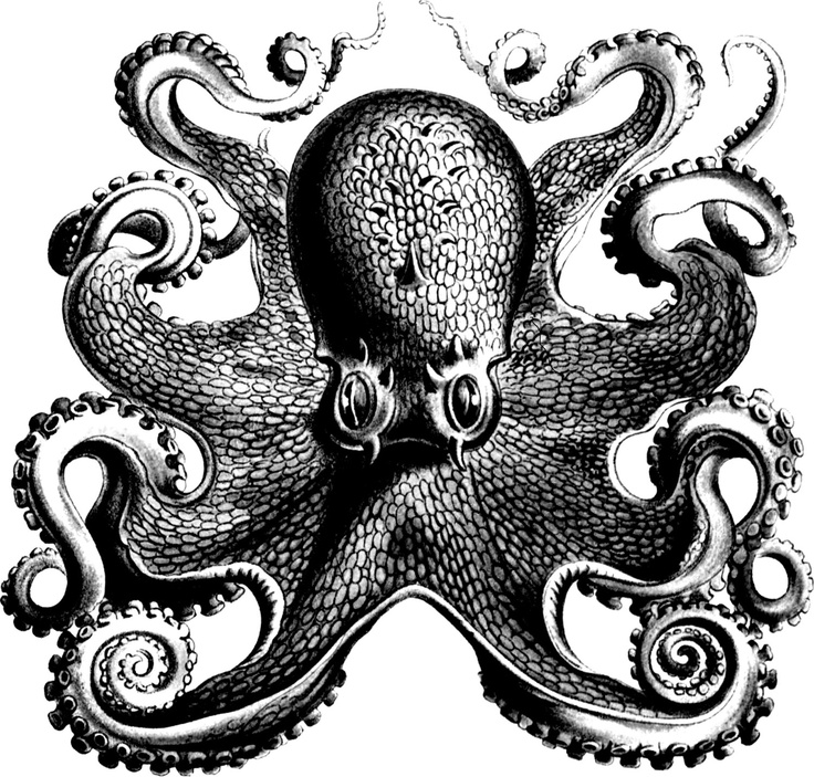 Good black scaled octopus tattoo design