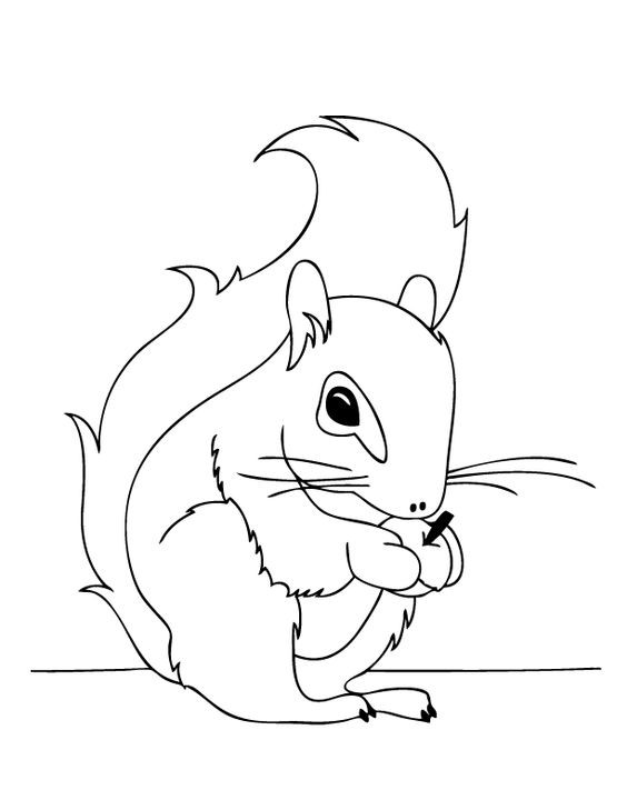 Good cartoon outline squirrel tattoo design