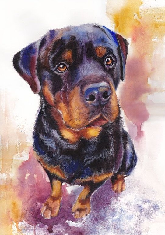 Good disciplinable rottweiler on watercolor background tattoo design