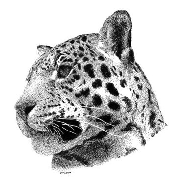 Good dotwork-style jaguar head tattoo design