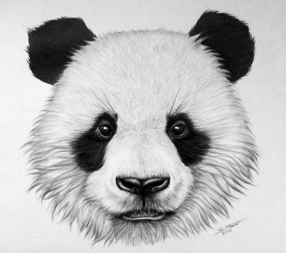 Good fluffy panda face tattoo design