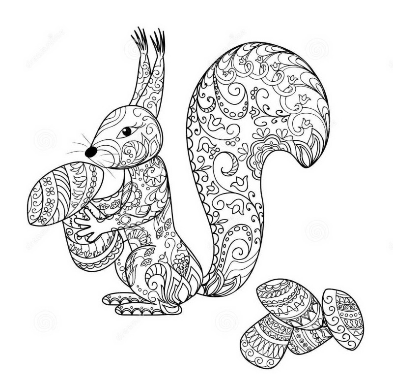 Good ornate squirrel and small mushrooms tattoo design