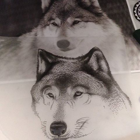 Good realistic grey wolf head from a photo tattoo design