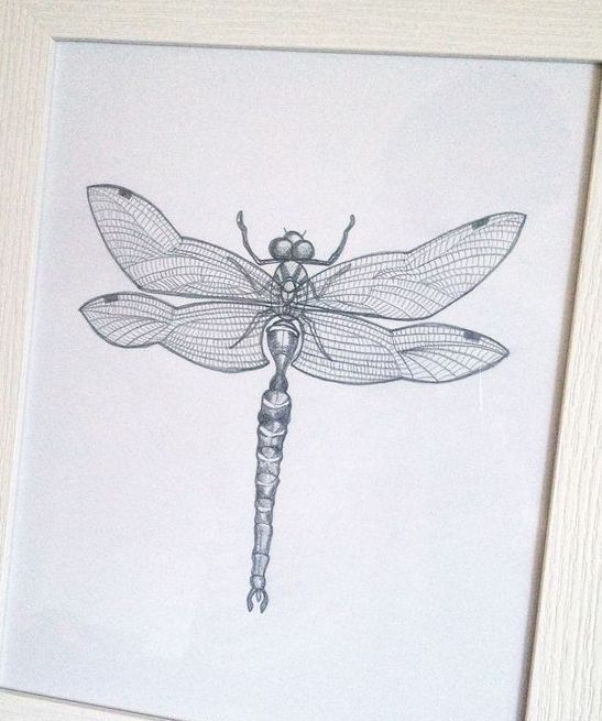 Good simple blue-ink dragonfly tattoo design