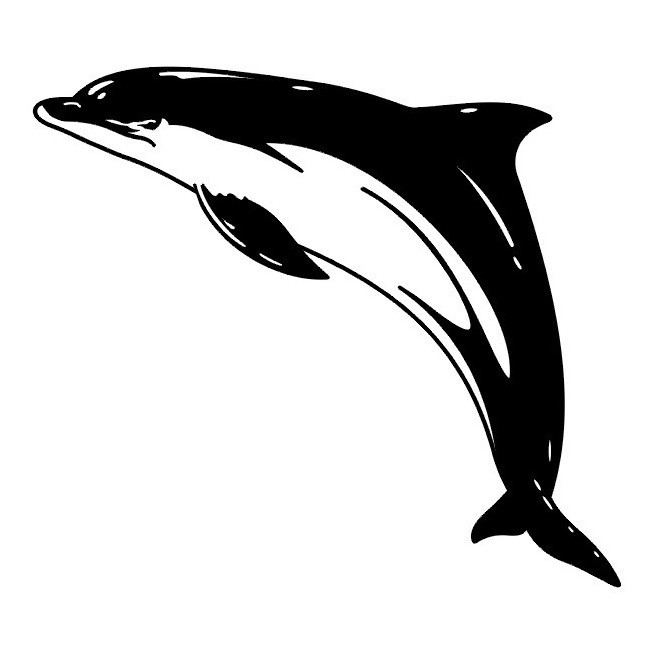 Gorgeous black-and-white dolphin tattoo design